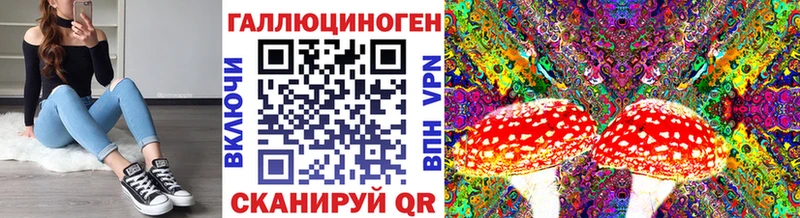 Купить закладки  Морозовск  Галлюциногенные грибы Cubensis 